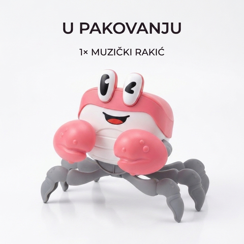 Muzički rakić — sadržaj pakovanja